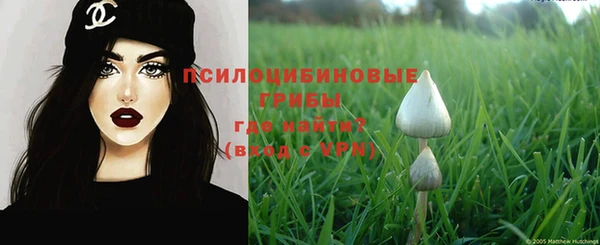 гидра Абинск