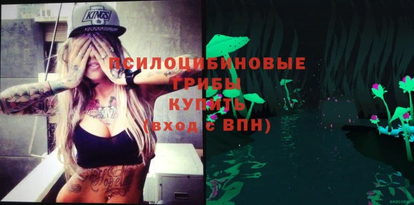 прущие крисы Абаза