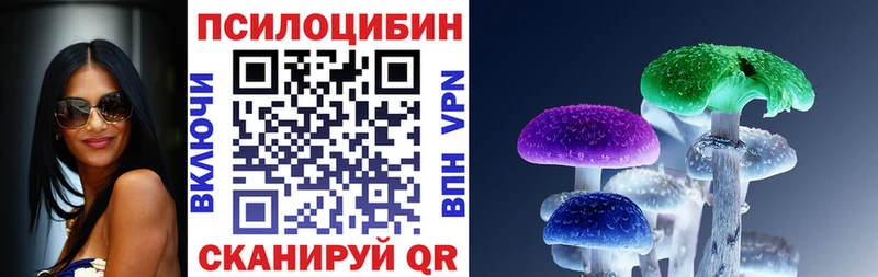 Псилоцибиновые грибы прущие грибы  купить наркотики сайты  Вичуга 