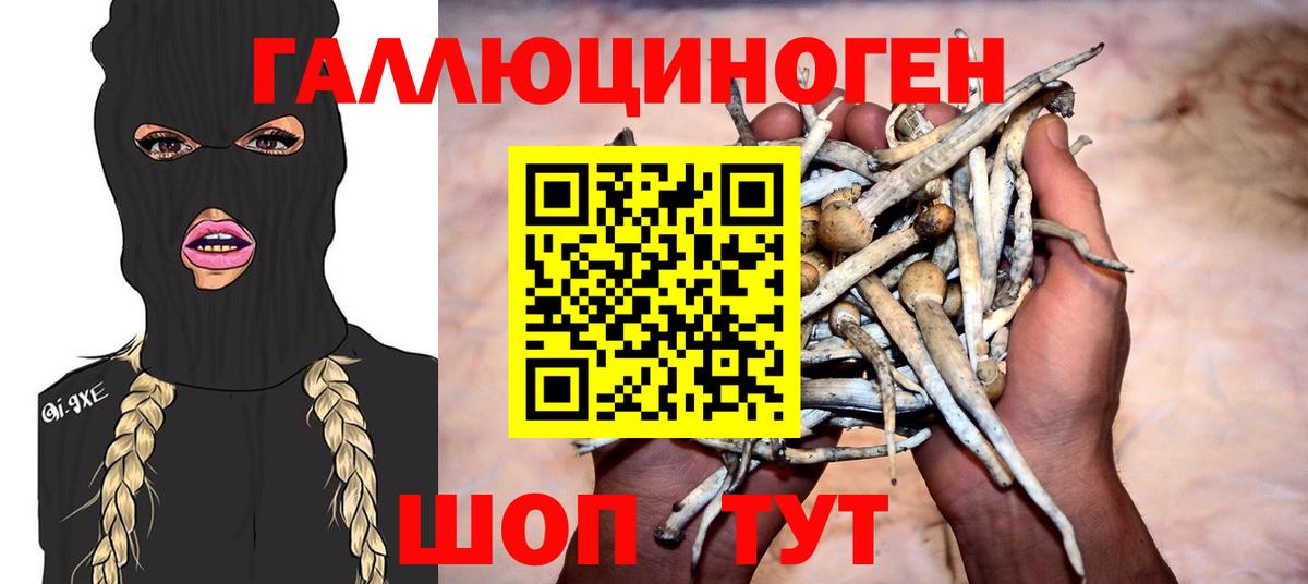 Псилоцибиновые грибы GOLDEN TEACHER  Псилоцибиновые грибы MAGIC MUSHROOMS  Вичуга  Вход с VPN 